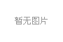 程力集團總經(jīng)理程阿羅出席湖北民營企業(yè)100強發(fā)布會